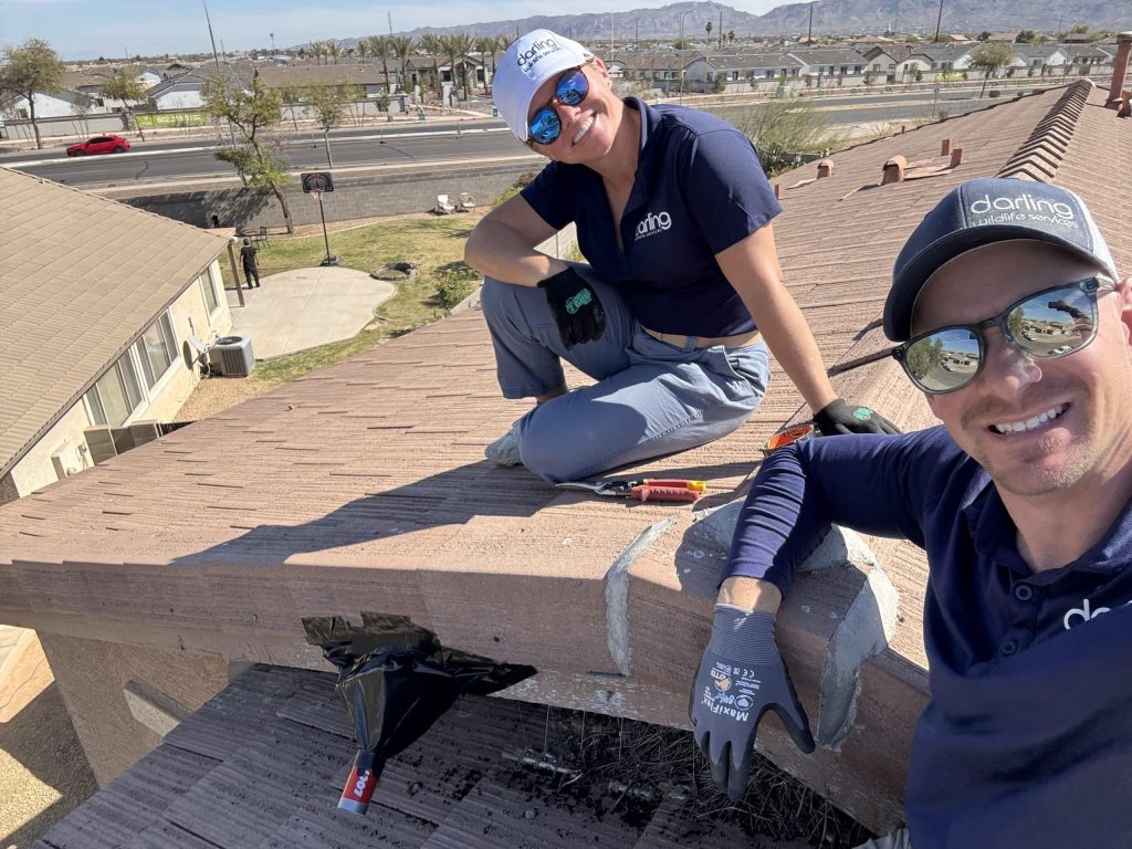 Safe removal of wildlife from roof in Mesa Home