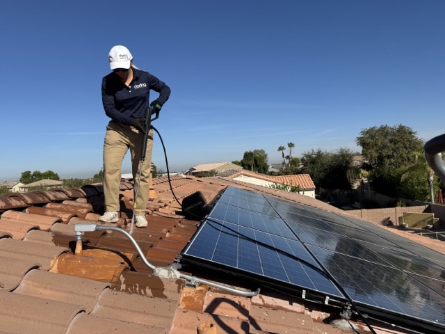 Bird and pigeon exclusion Solar panel protection