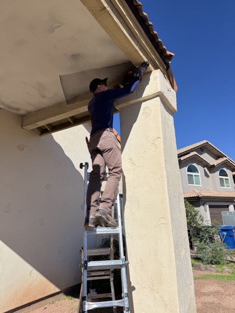 Pigeon removal and protection by Darling wildlife removal tech.