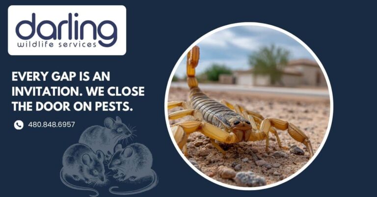 Pest Control in Mesa During Fall Season: What Arizona Homeowners Need to Know